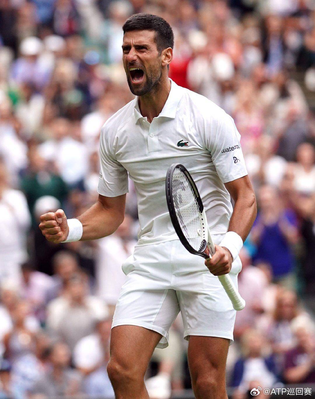 意为居莱尔 意为居莱尔